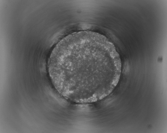 X0000112380524200909241218