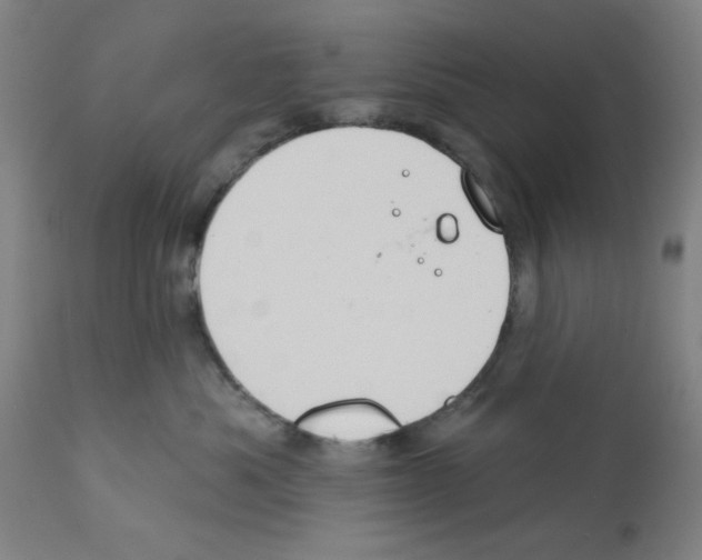 X0000112380525200909241218