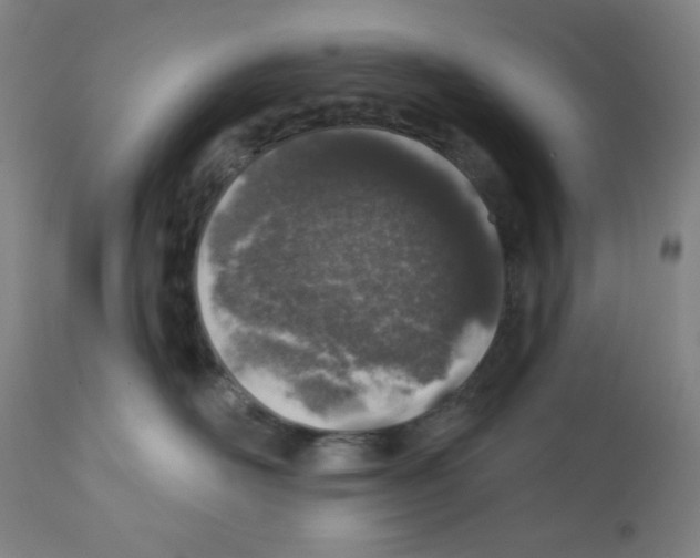 X0000112380526200909241218