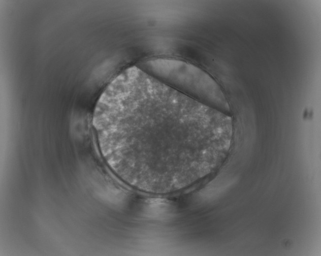 X0000112380528200909241218