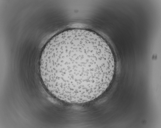 X0000112380529200909241217