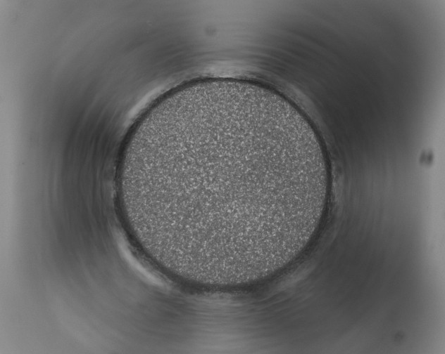 X0000112380530200909241217