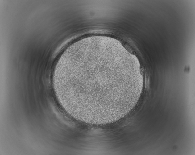 X0000112380531200909241217