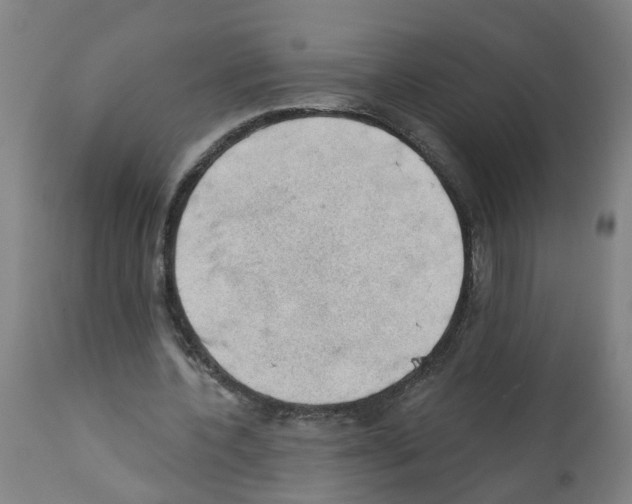 X0000112380532200909241217