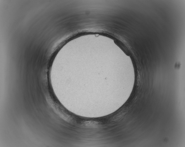 X0000112380535200909241217