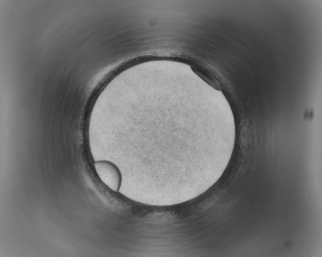 X0000112380536200909241217