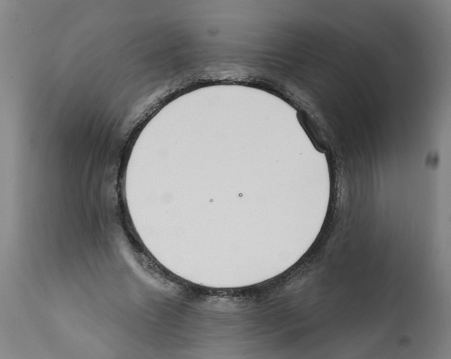 X0000112380538200909241217