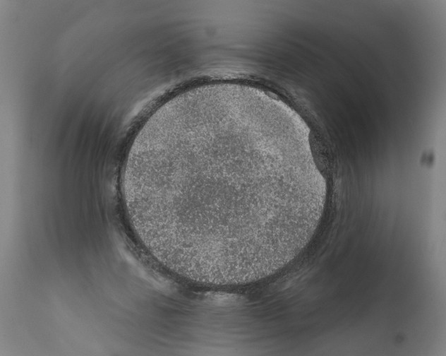 X0000112380539200909241217