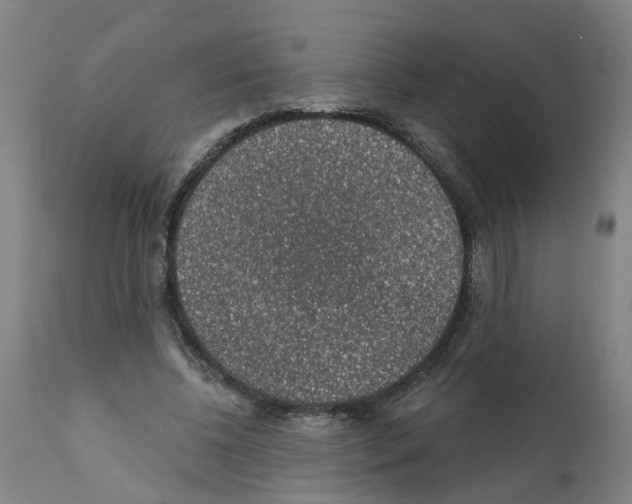 X0000112380540200909241217