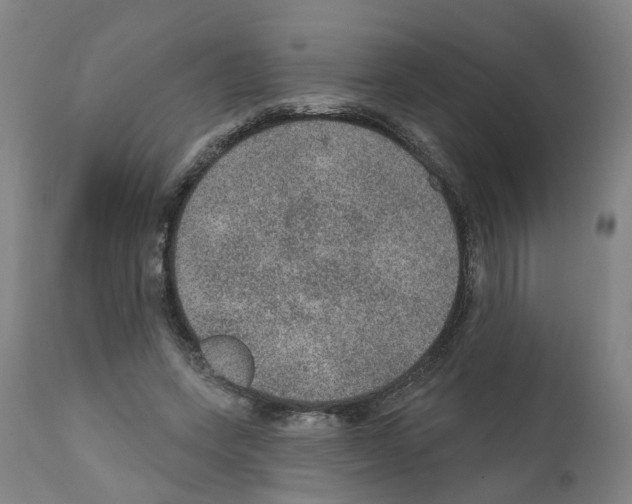 X0000112380543200909241217