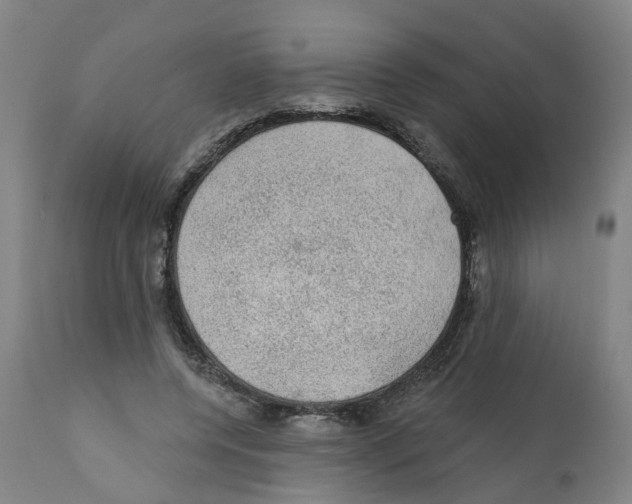 X0000112380544200909241217