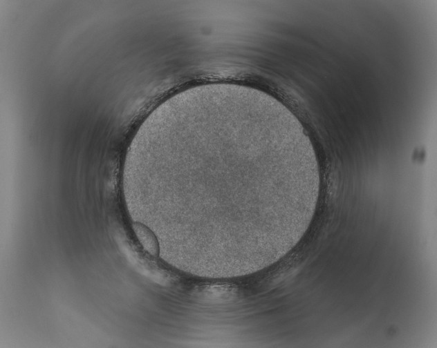 X0000112380546200909241217