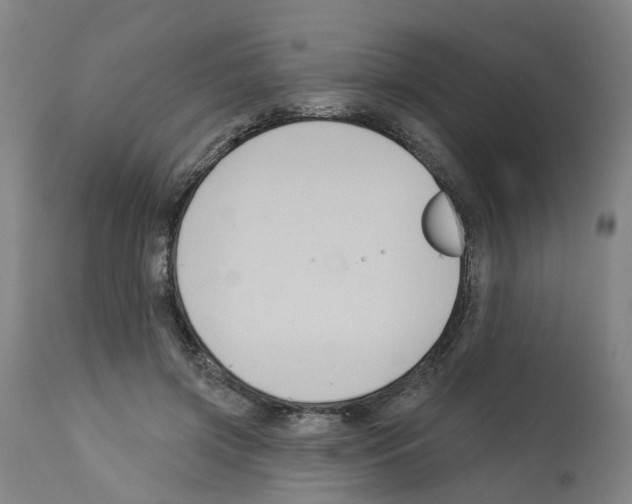 X0000112380549200909241217