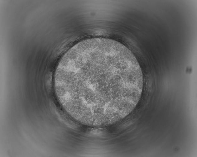 X0000112380550200909241217