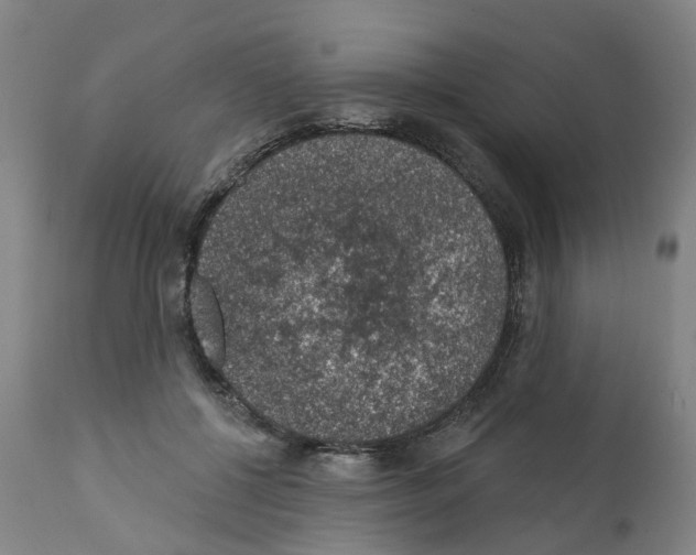 X0000112380552200909241217