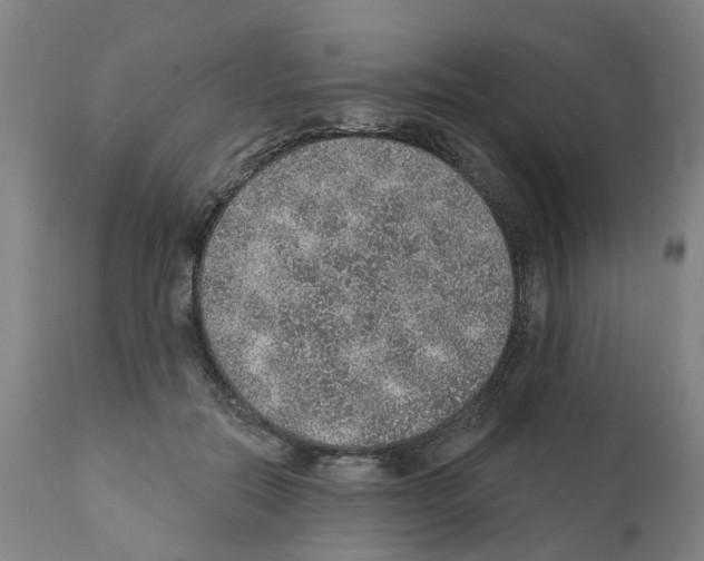 X0000112380554200909241217