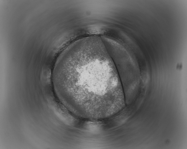 X0000112380556200909241218