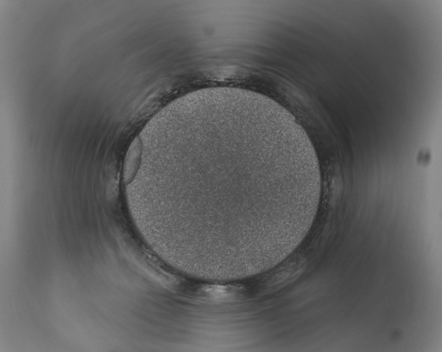 X0000112380558200909241218