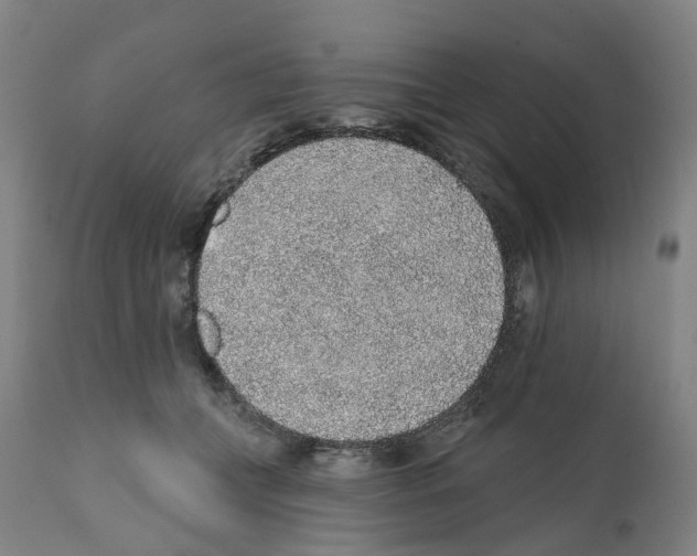 X0000112380559200909241218