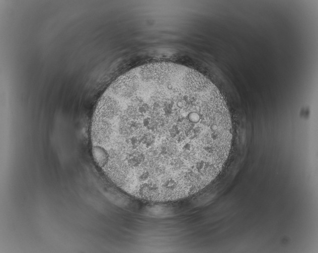 X0000112380561200909241218