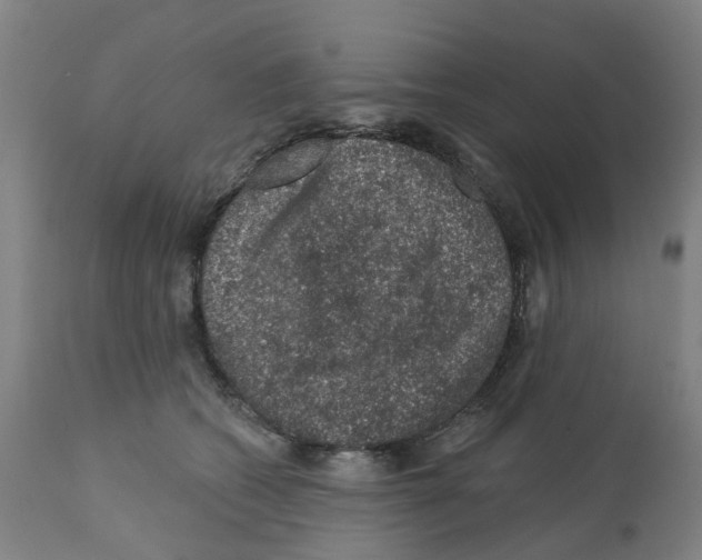 X0000112380562200909241218