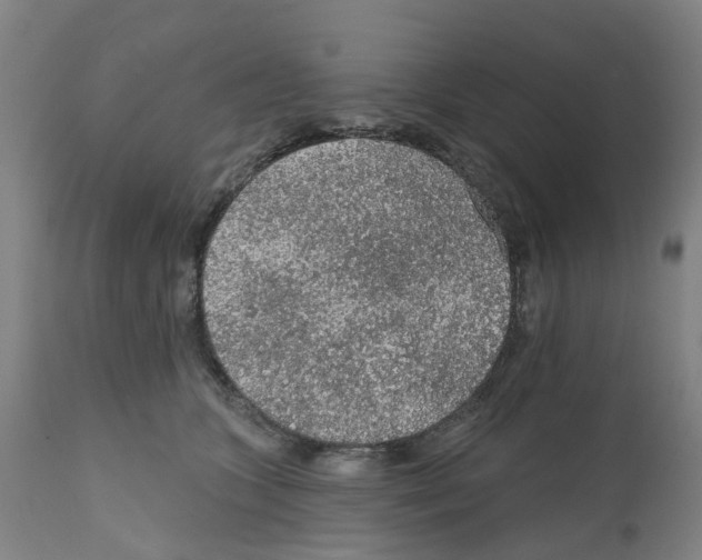 X0000112380563200909241218