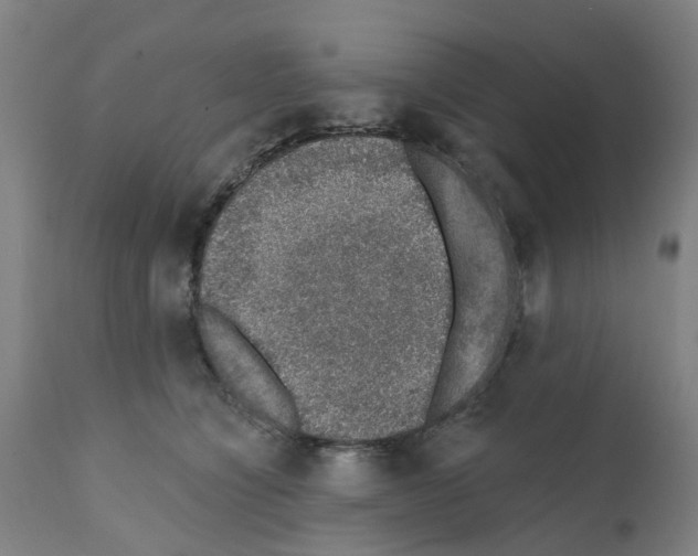 X0000112380564200909241218