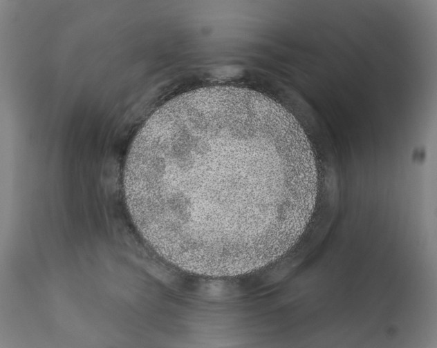 X0000112380565200909241218