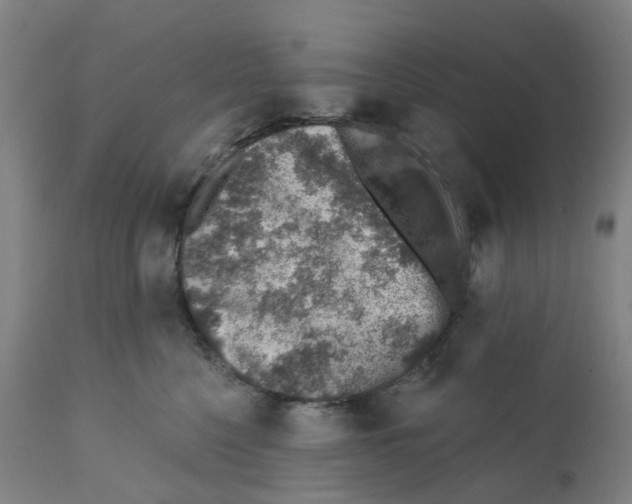 X0000112380568200909241218