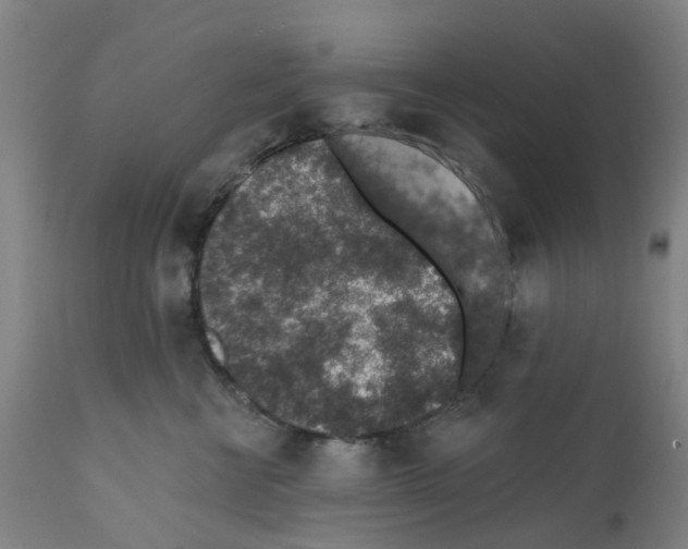 X0000112380570200909241218