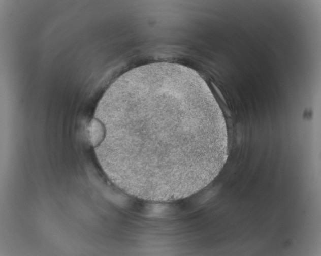 X0000112380575200909241218