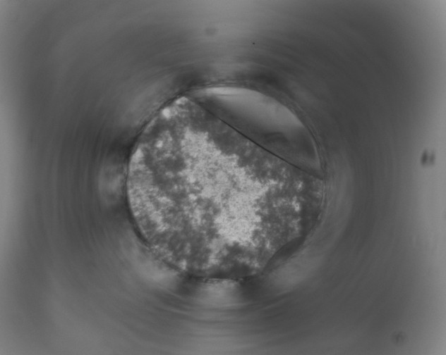 X0000112380576200909241218