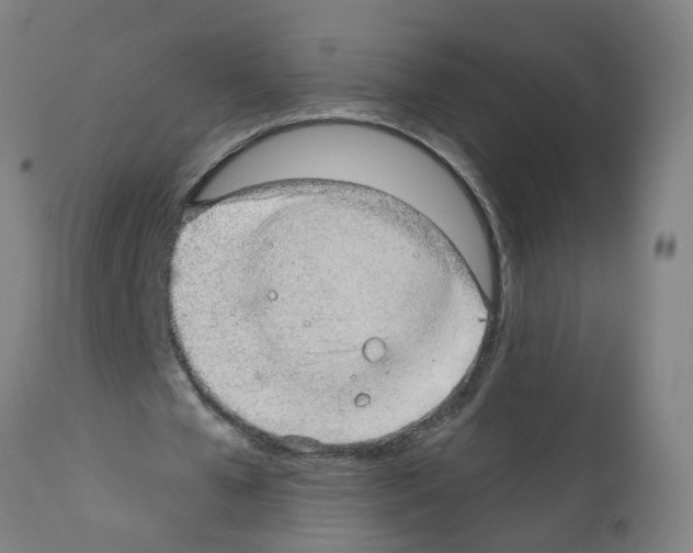 X0000112380577200909241217