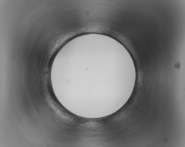 X0000112380578200909241217