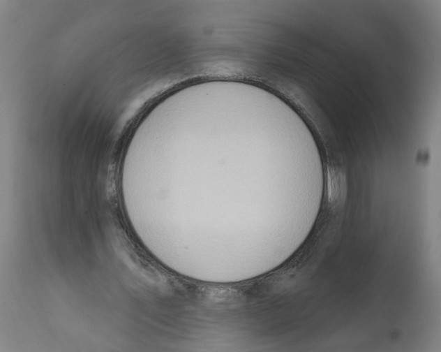 X0000112380579200909241217