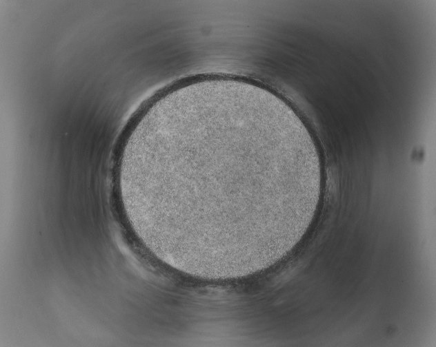 X0000112380580200909241217