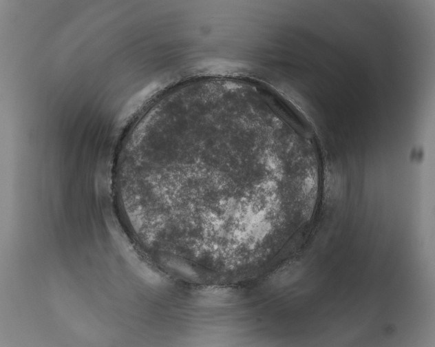 X0000112380581200909241217