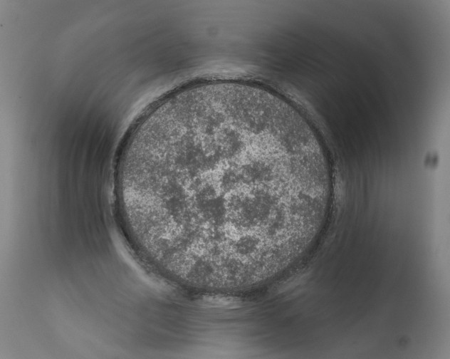 X0000112380582200909241217