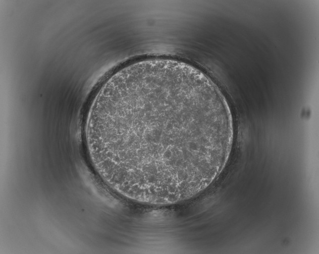 X0000112380584200909241217