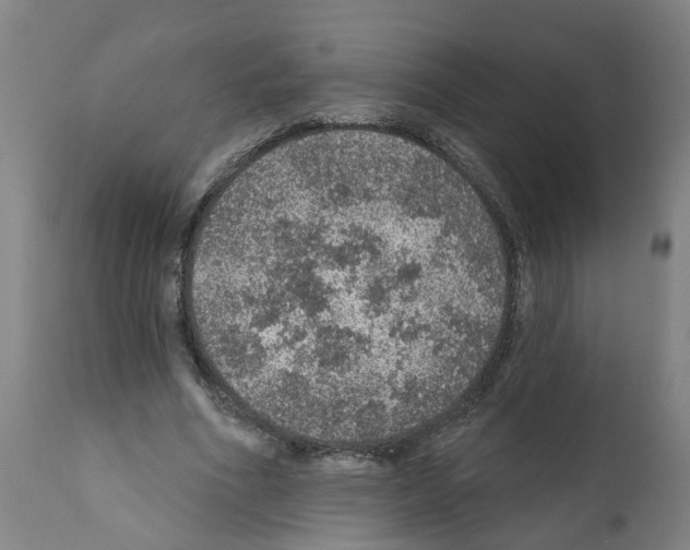 X0000112380586200909241217