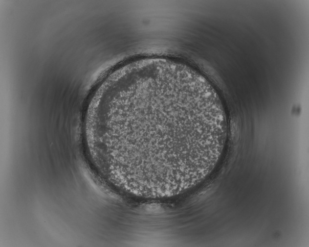 X0000112380588200909241217