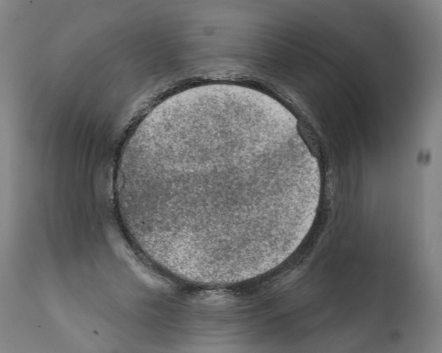 X0000112380589200909241217