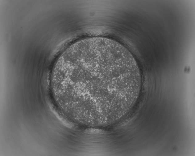 X0000112380590200909241217