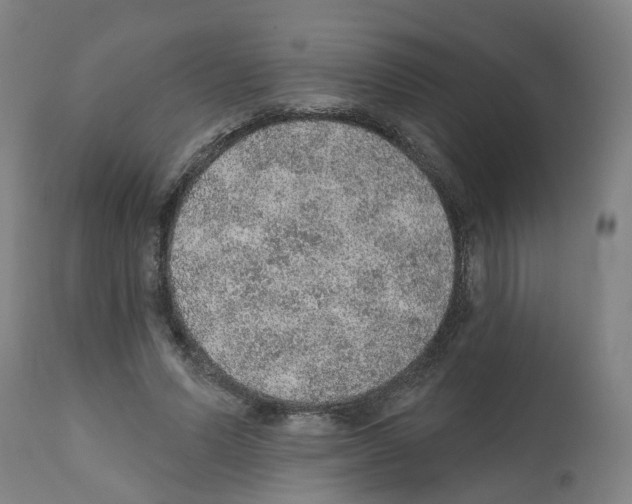 X0000112380591200909241217