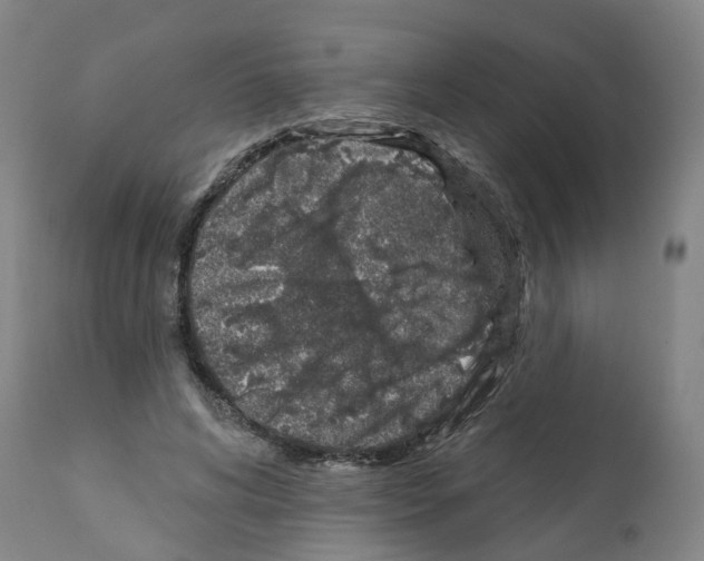 X0000112380592200909241217