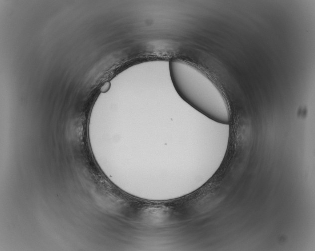 X0000112380595200909241217