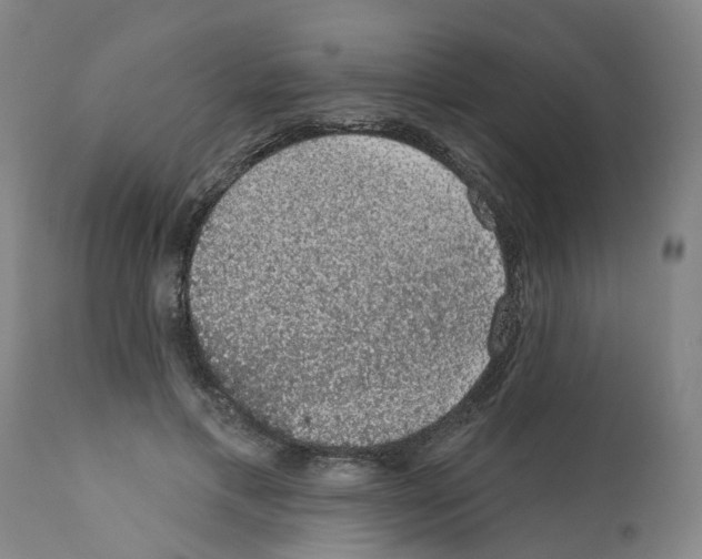 X0000112380597200909241217