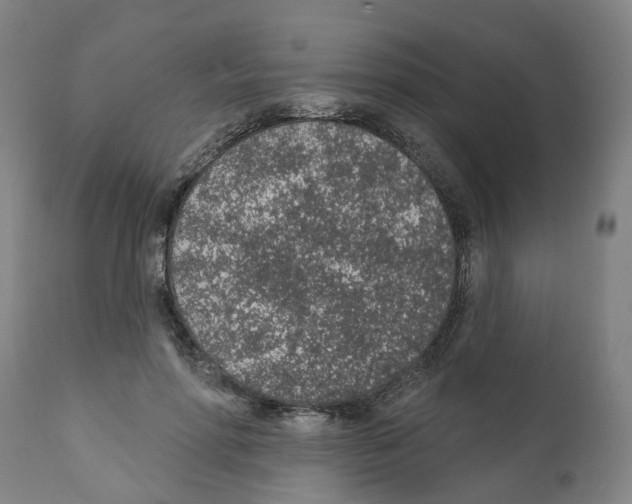 X0000112380598200909241217