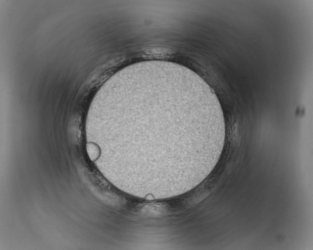 X0000112380599200909241217