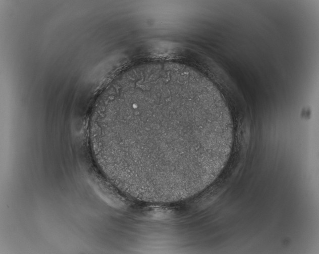 X0000112380601200909241217